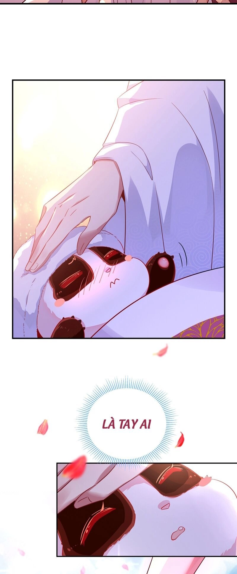 Thiên Thần Gấu Trúc Muốn Được Ôm Chapter 57 - 37