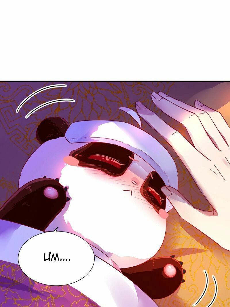 Thiên Thần Gấu Trúc Muốn Được Ôm Chapter 58 - 3