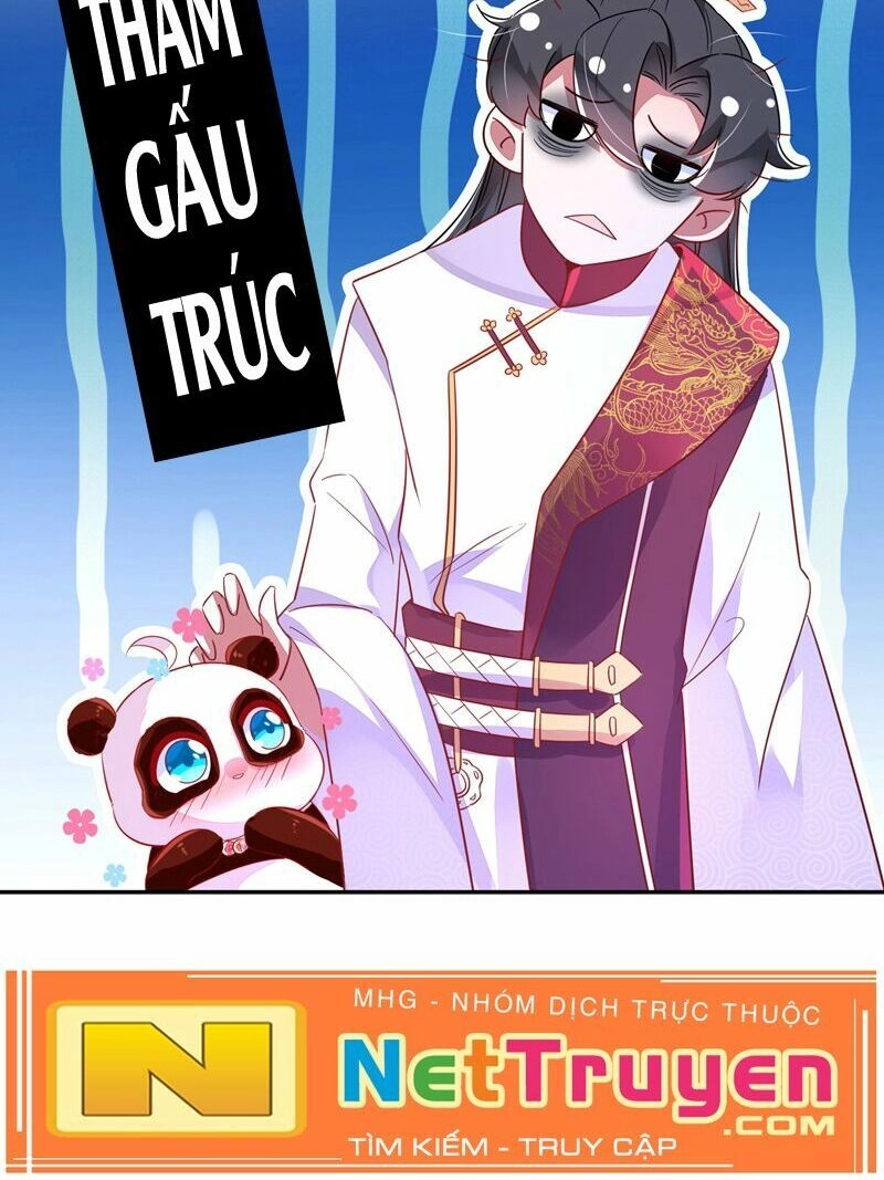 Thiên Thần Gấu Trúc Muốn Được Ôm Chapter 58 - 26