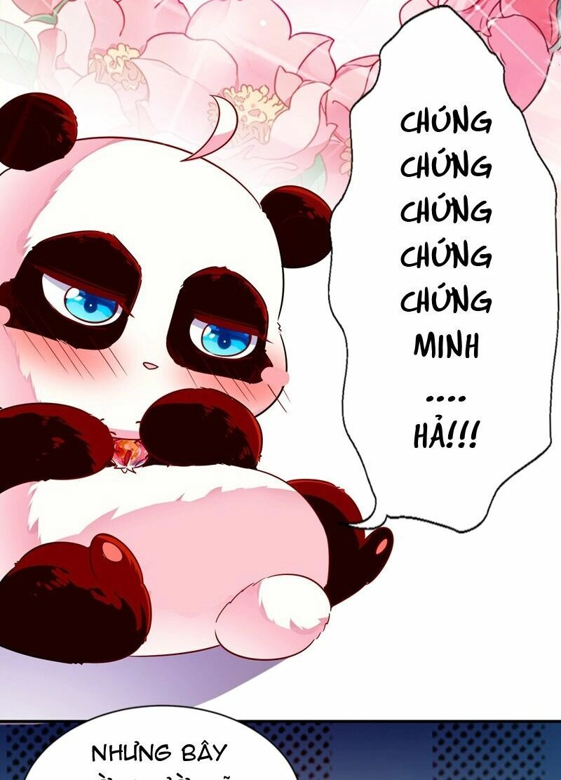 Thiên Thần Gấu Trúc Muốn Được Ôm Chapter 58 - 40