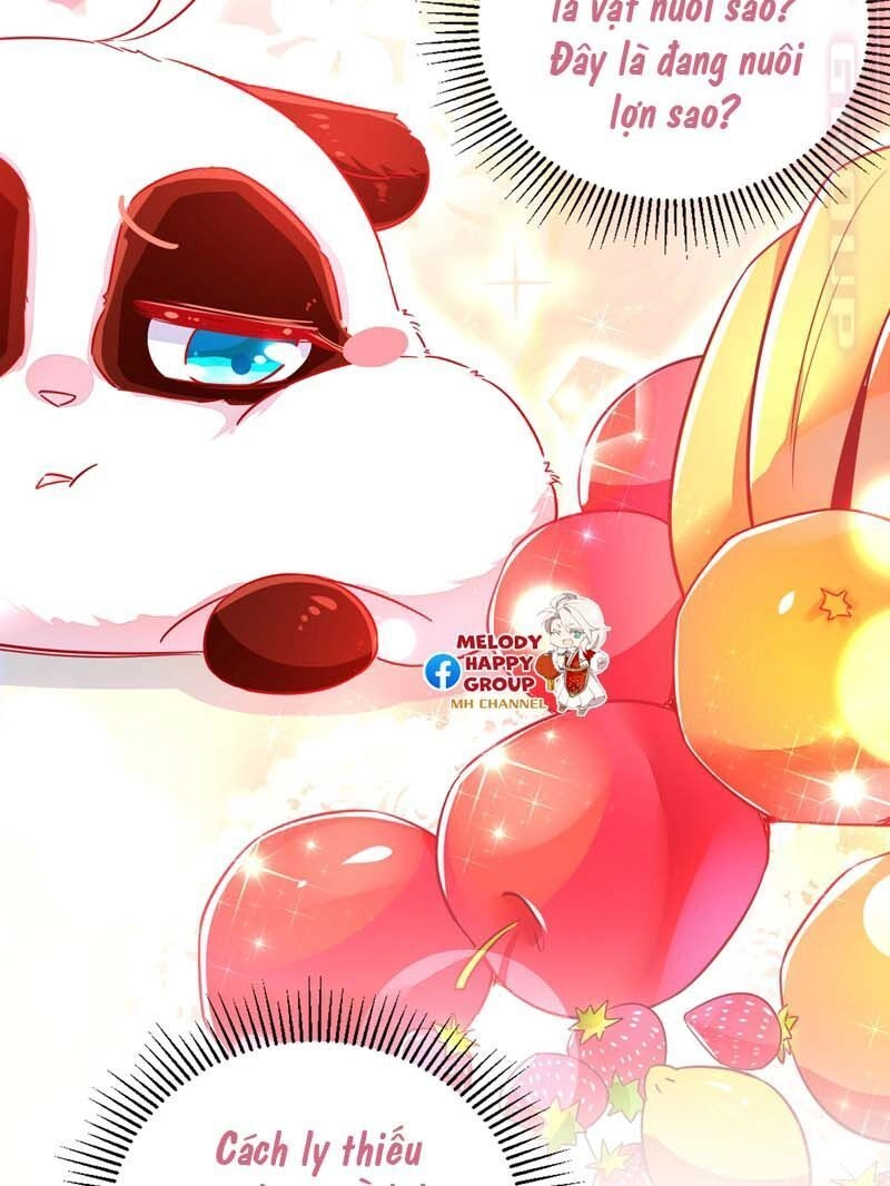 Thiên Thần Gấu Trúc Muốn Được Ôm Chapter 59 - 4