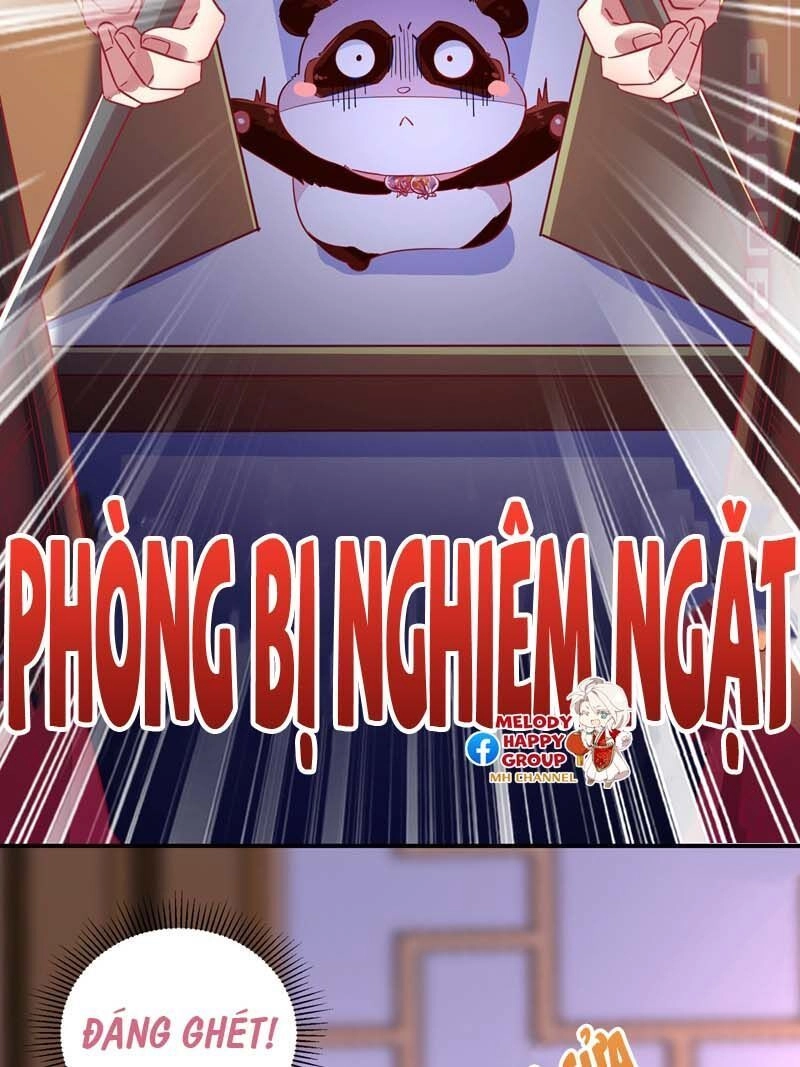 Thiên Thần Gấu Trúc Muốn Được Ôm Chapter 59 - 8