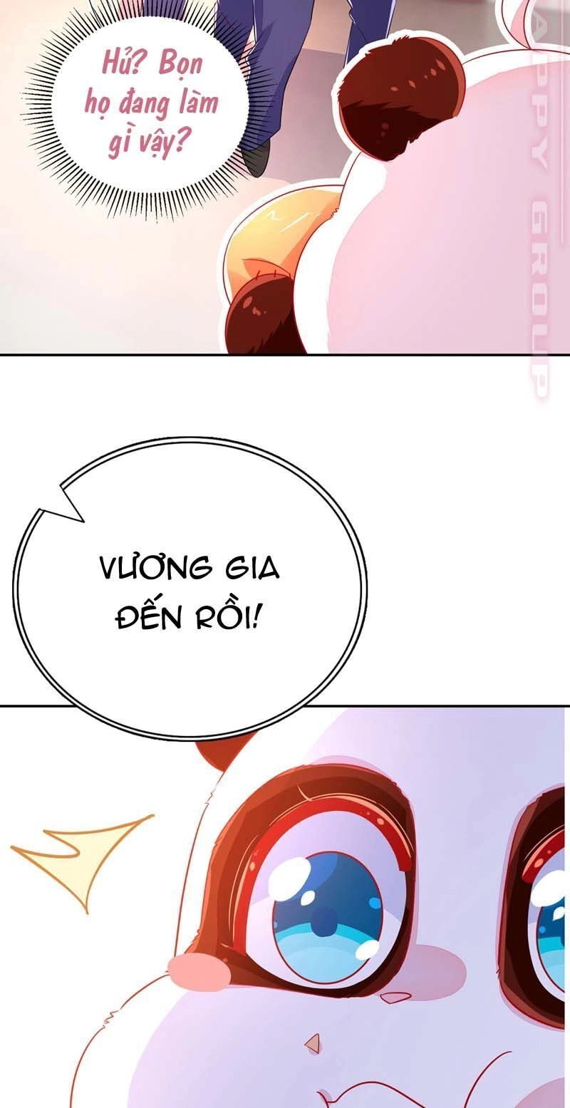 Thiên Thần Gấu Trúc Muốn Được Ôm Chapter 59 - 28