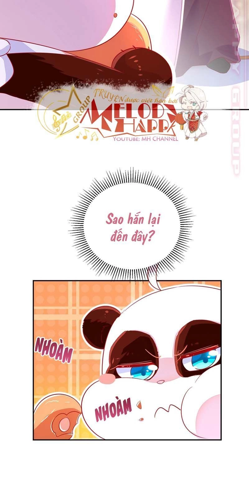 Thiên Thần Gấu Trúc Muốn Được Ôm Chapter 60 - 7