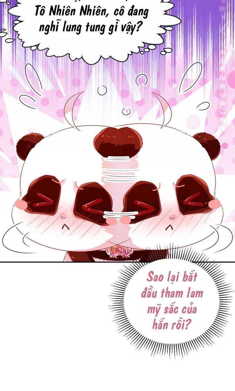 Thiên Thần Gấu Trúc Muốn Được Ôm Chapter 61 - 6