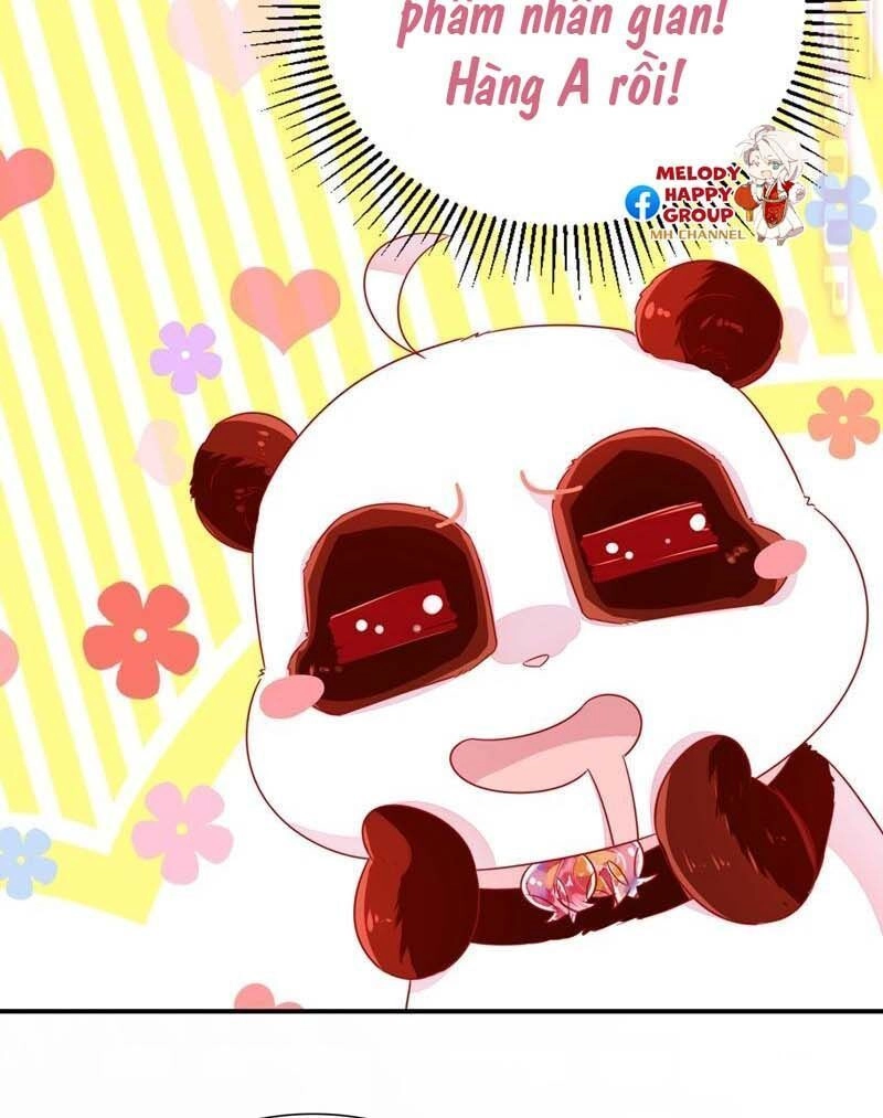 Thiên Thần Gấu Trúc Muốn Được Ôm Chapter 61 - 10