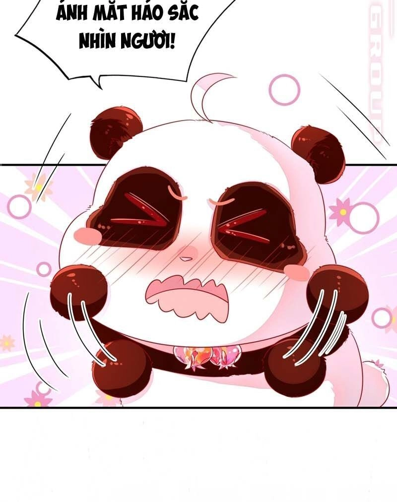 Thiên Thần Gấu Trúc Muốn Được Ôm Chapter 61 - 12