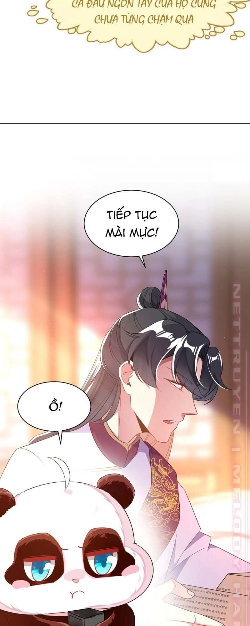 Thiên Thần Gấu Trúc Muốn Được Ôm Chapter 61 - 21