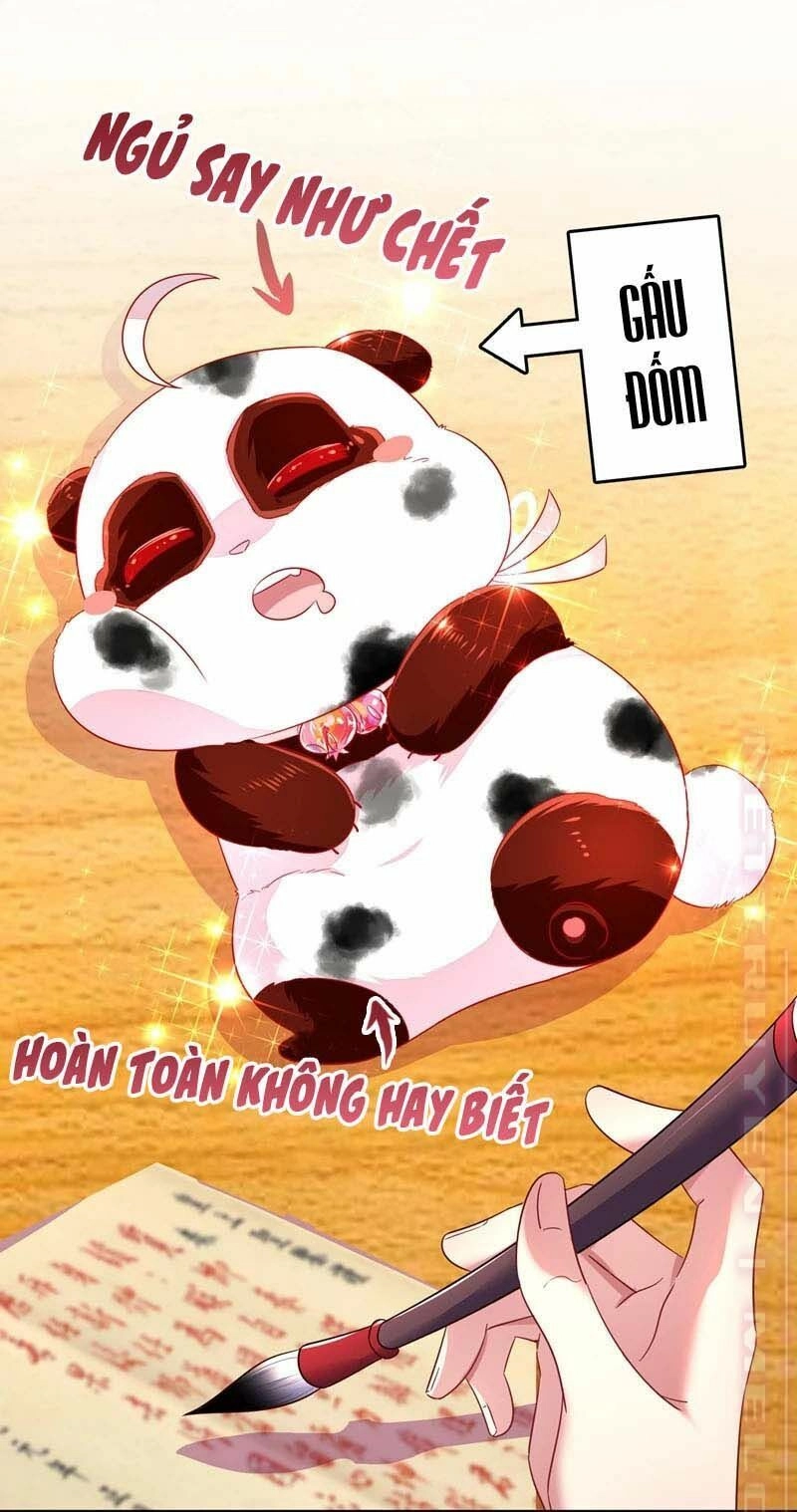 Thiên Thần Gấu Trúc Muốn Được Ôm Chapter 62 - 14