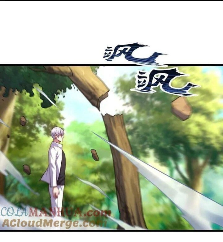 Đô Thị Chi Nghịch Thiên Tiên Tôn Chapter 381 - 29