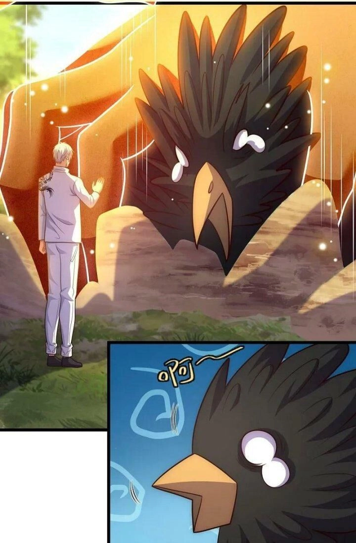 Đô Thị Chi Nghịch Thiên Tiên Tôn Chapter 381 - 41