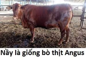 Không Xóa Sổ Con Người Được!! Chapter 21.2 - 15