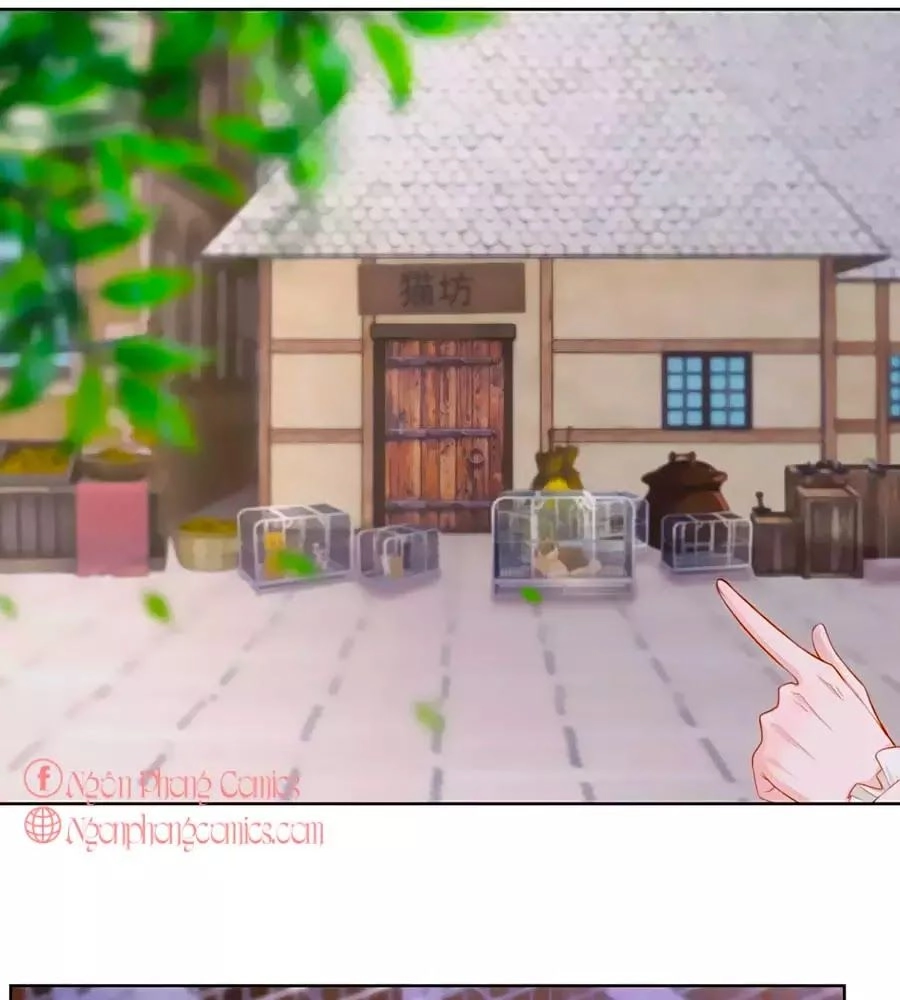 Tôi Muốn Trở Thành Tiểu Thư Công Tước Phế Vật Chapter 3 - 18