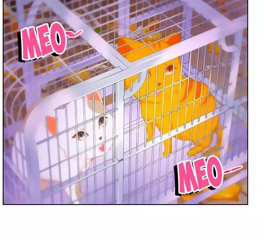 Tôi Muốn Trở Thành Tiểu Thư Công Tước Phế Vật Chapter 3 - 19