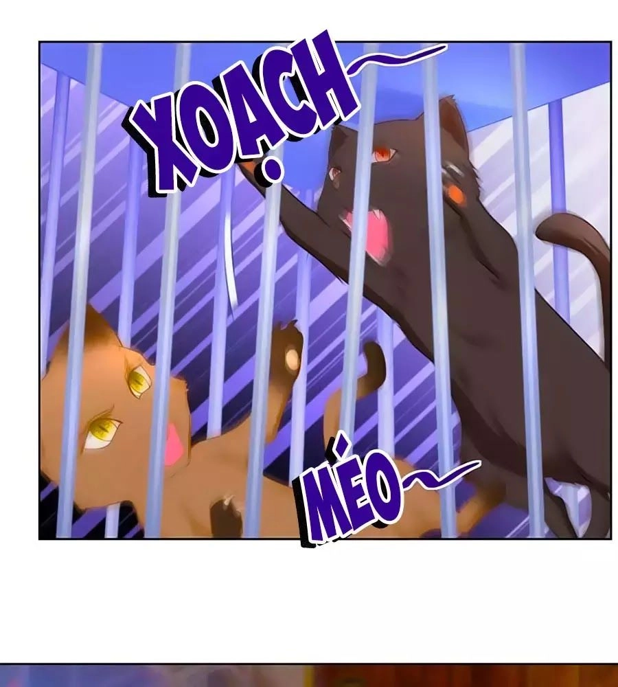 Tôi Muốn Trở Thành Tiểu Thư Công Tước Phế Vật Chapter 3 - 20