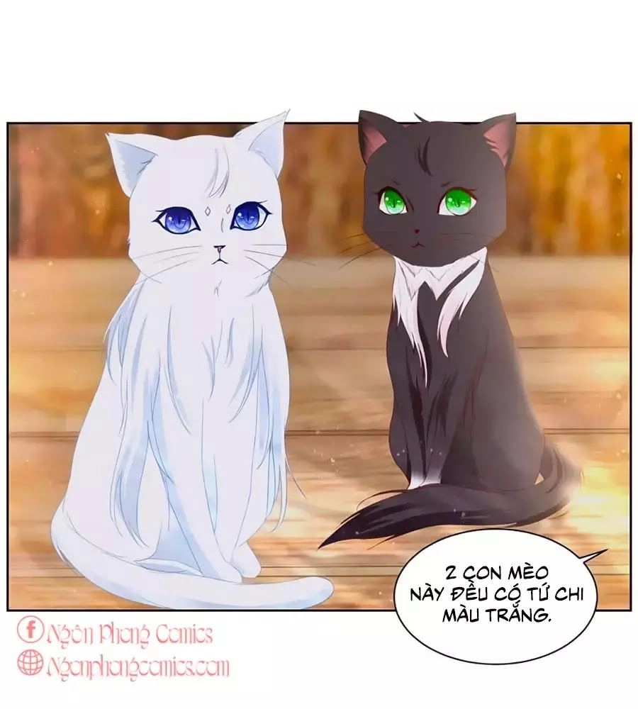 Tôi Muốn Trở Thành Tiểu Thư Công Tước Phế Vật Chapter 3 - 31