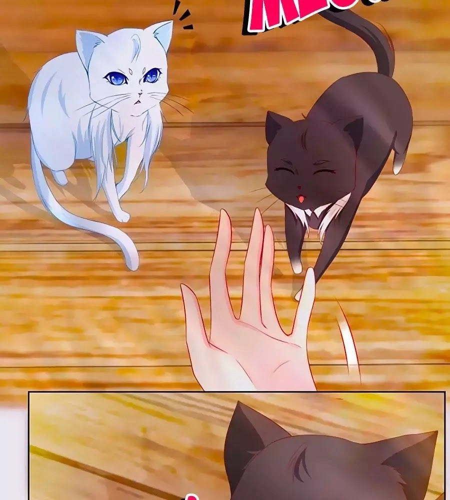 Tôi Muốn Trở Thành Tiểu Thư Công Tước Phế Vật Chapter 3 - 38