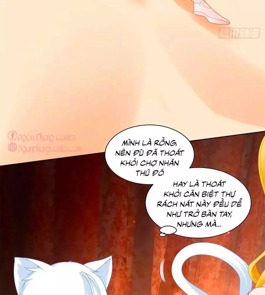 Tôi Muốn Trở Thành Tiểu Thư Công Tước Phế Vật Chapter 6 - 28