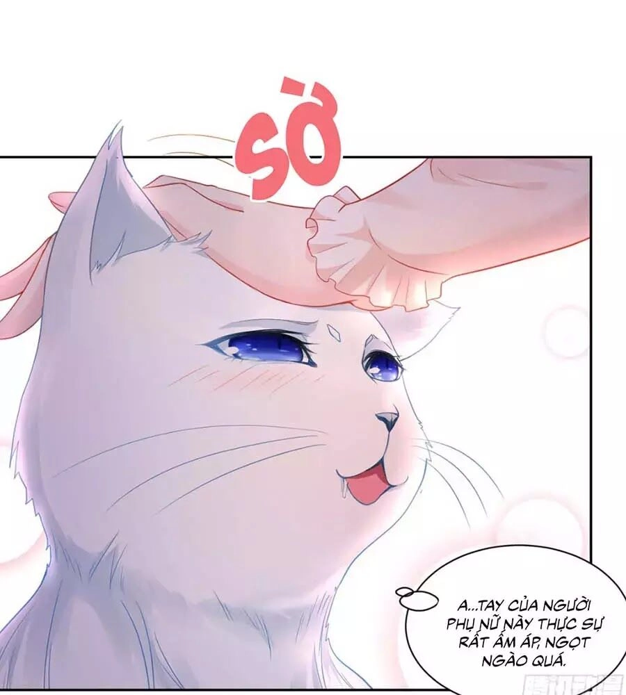 Tôi Muốn Trở Thành Tiểu Thư Công Tước Phế Vật Chapter 7 - 4