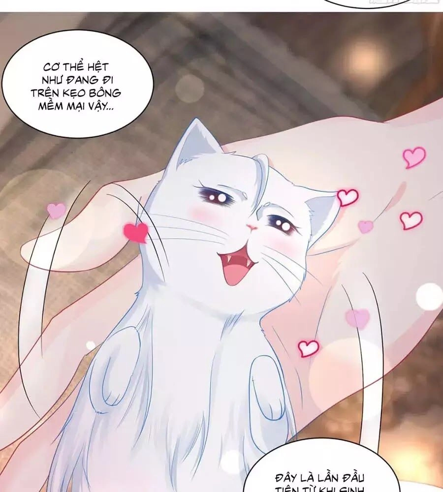 Tôi Muốn Trở Thành Tiểu Thư Công Tước Phế Vật Chapter 7 - 5