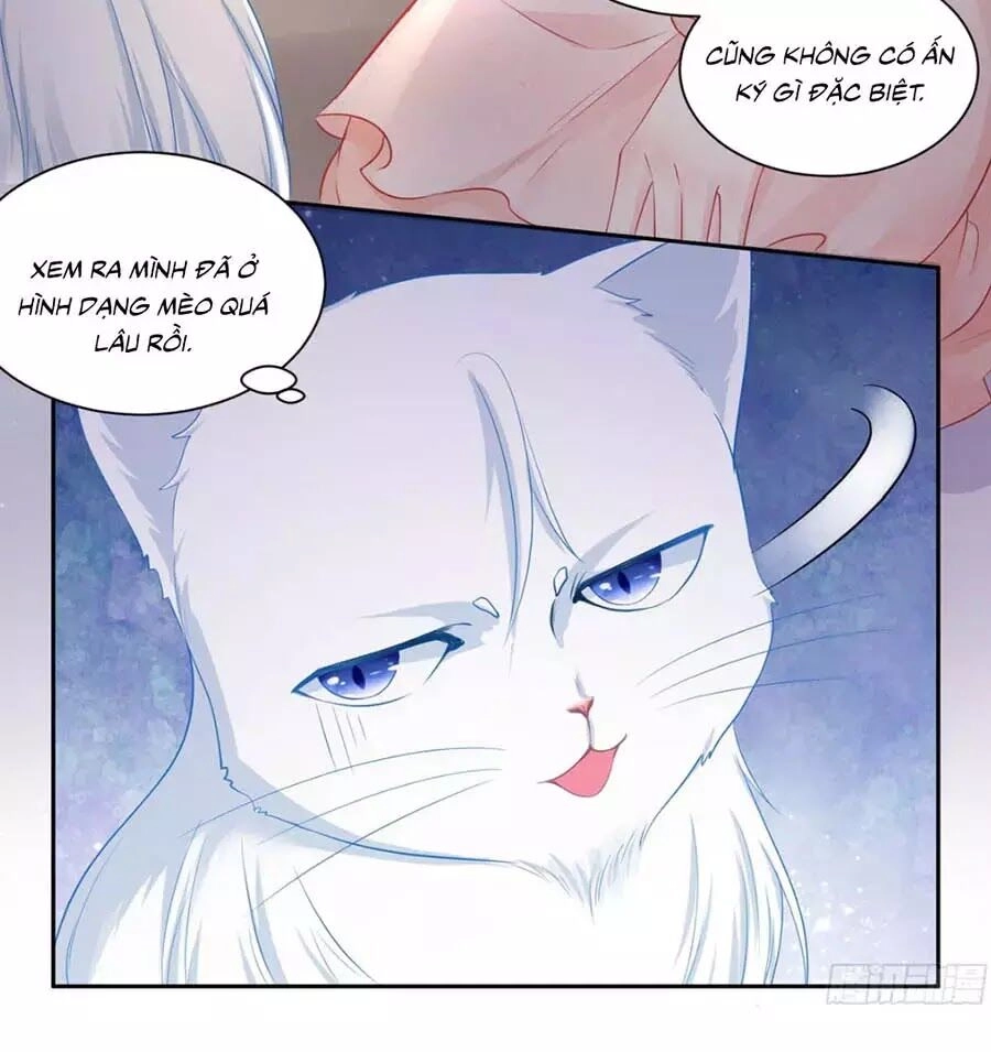 Tôi Muốn Trở Thành Tiểu Thư Công Tước Phế Vật Chapter 7 - 14