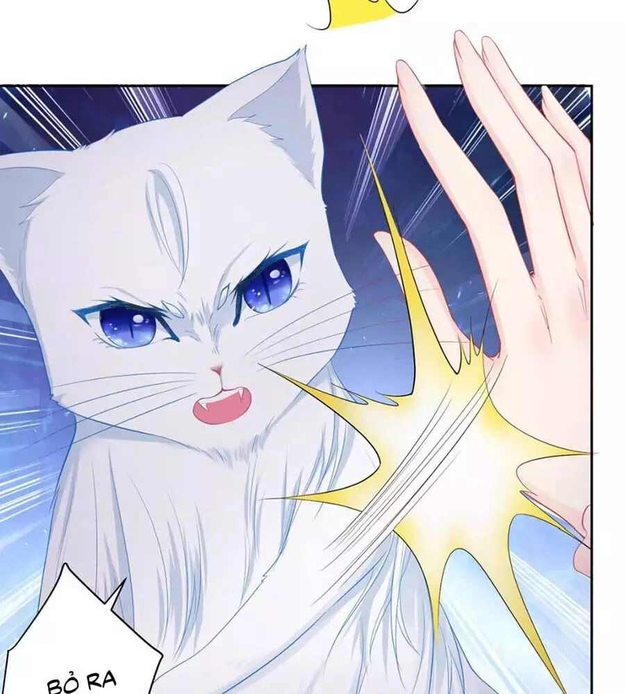 Tôi Muốn Trở Thành Tiểu Thư Công Tước Phế Vật Chapter 7 - 19