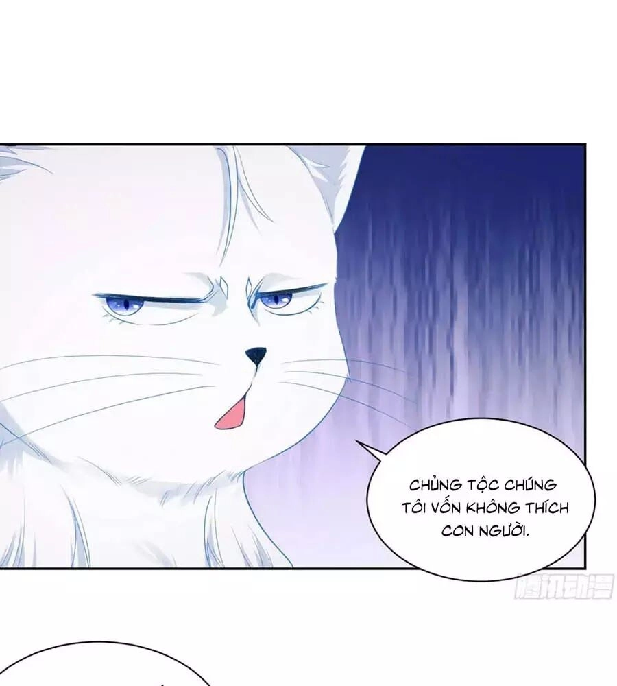 Tôi Muốn Trở Thành Tiểu Thư Công Tước Phế Vật Chapter 7 - 22