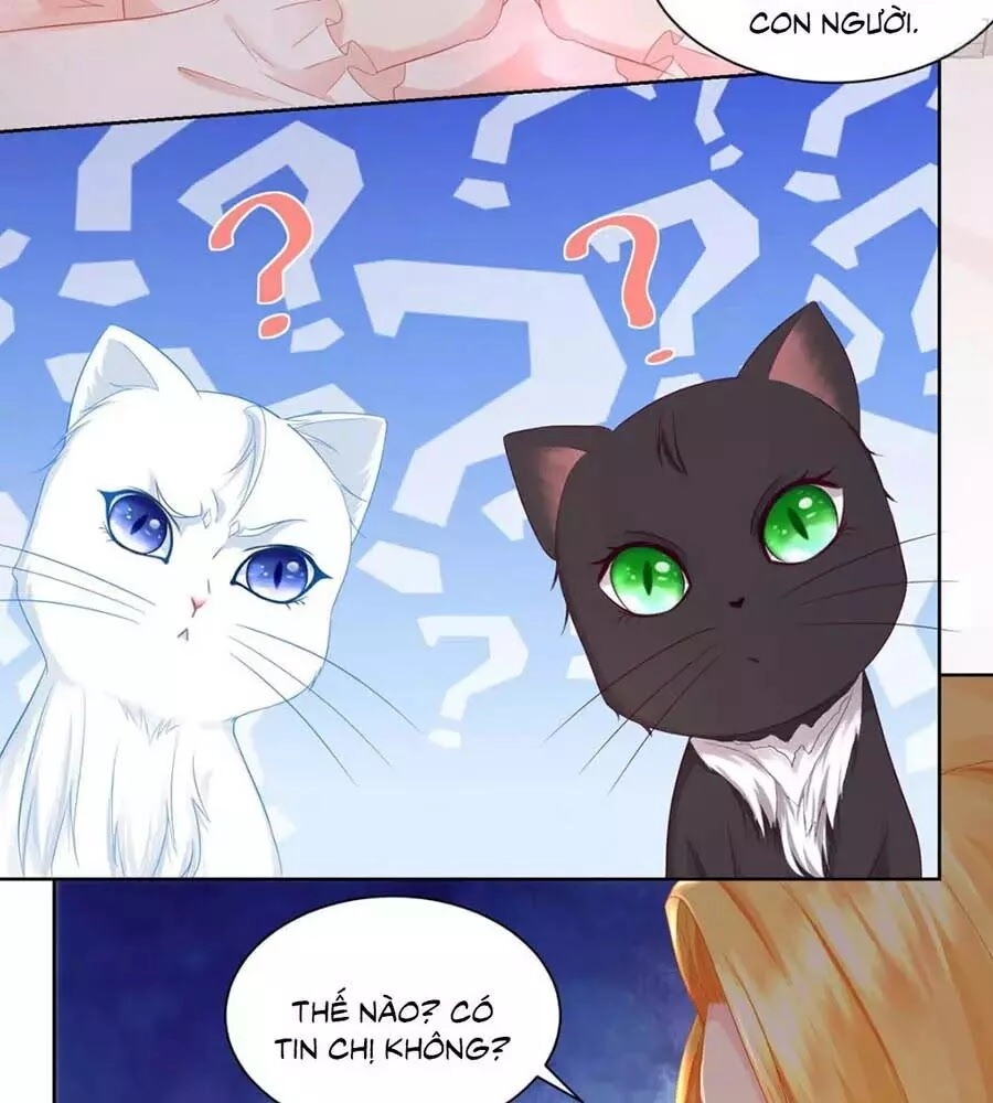 Tôi Muốn Trở Thành Tiểu Thư Công Tước Phế Vật Chapter 7 - 31