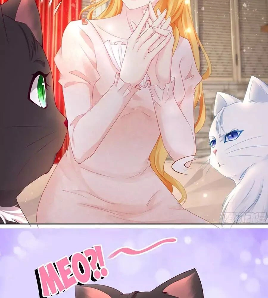 Tôi Muốn Trở Thành Tiểu Thư Công Tước Phế Vật Chapter 7 - 40