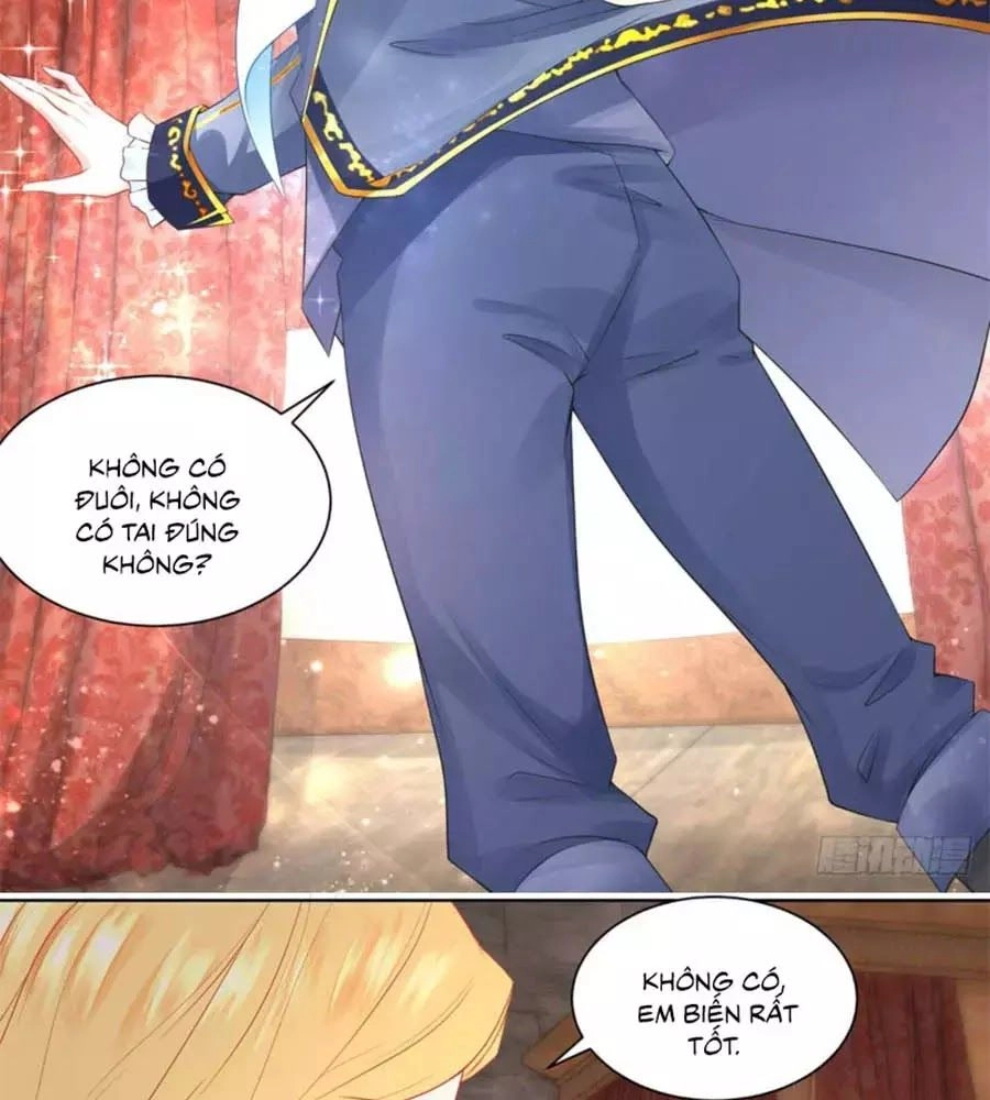 Tôi Muốn Trở Thành Tiểu Thư Công Tước Phế Vật Chapter 8 - 25