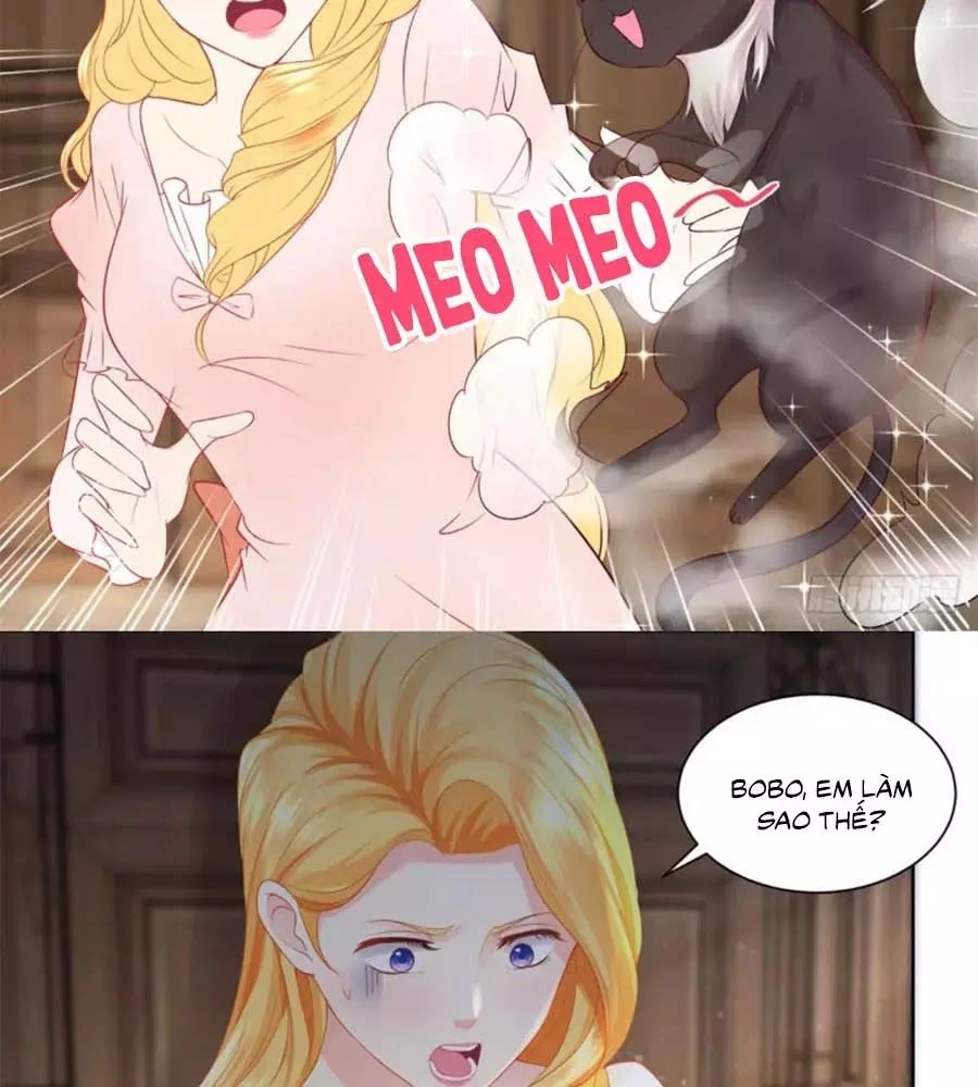 Tôi Muốn Trở Thành Tiểu Thư Công Tước Phế Vật Chapter 8 - 29