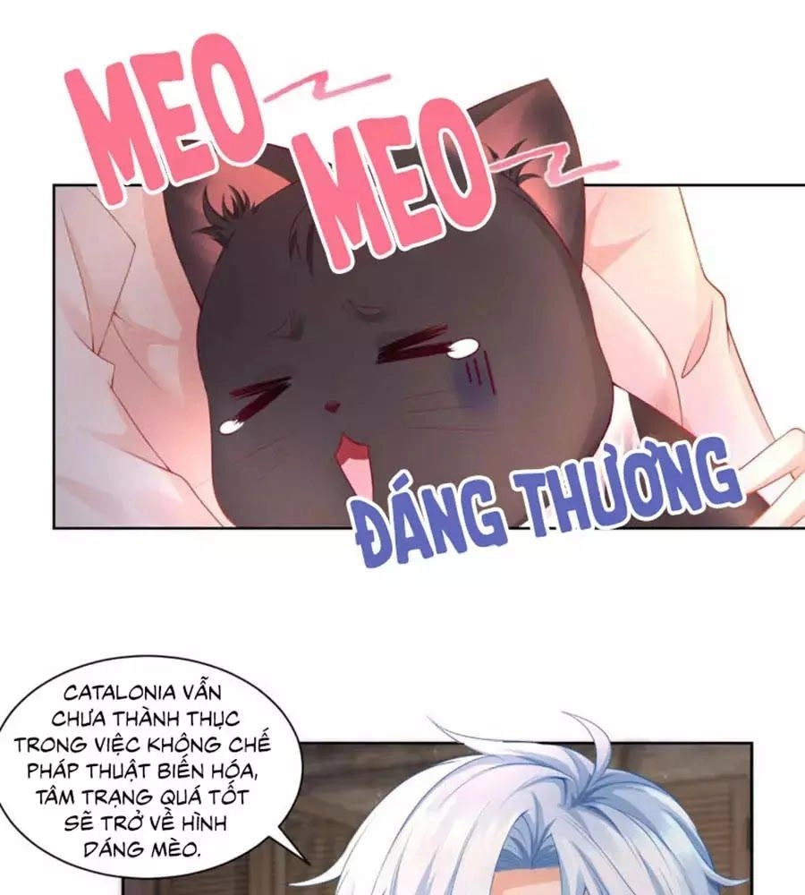 Tôi Muốn Trở Thành Tiểu Thư Công Tước Phế Vật Chapter 8 - 31