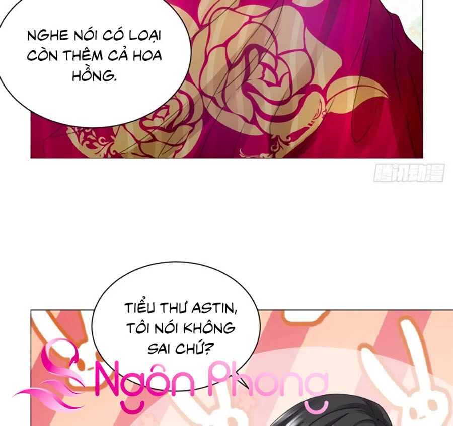 Tôi Muốn Trở Thành Tiểu Thư Công Tước Phế Vật Chapter 51 - 21