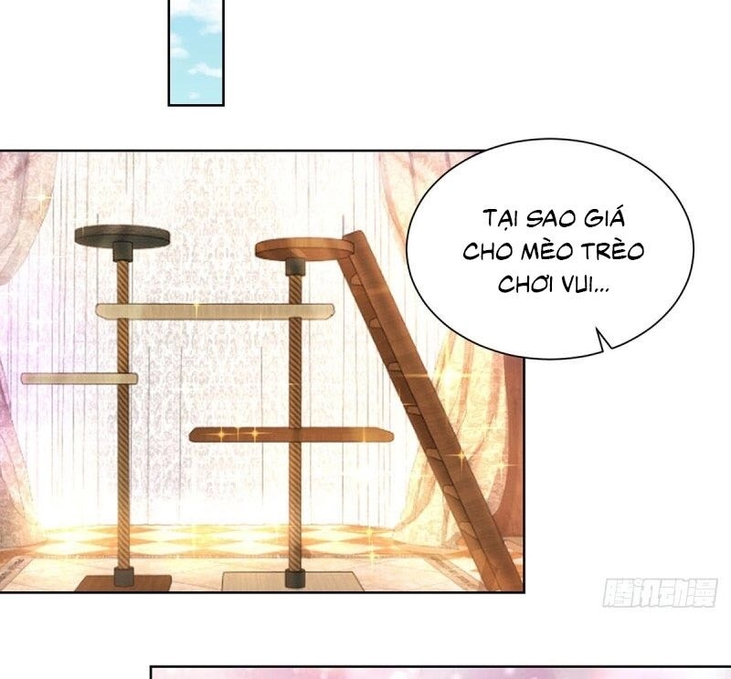 Tôi Muốn Trở Thành Tiểu Thư Công Tước Phế Vật Chapter 70 - 17