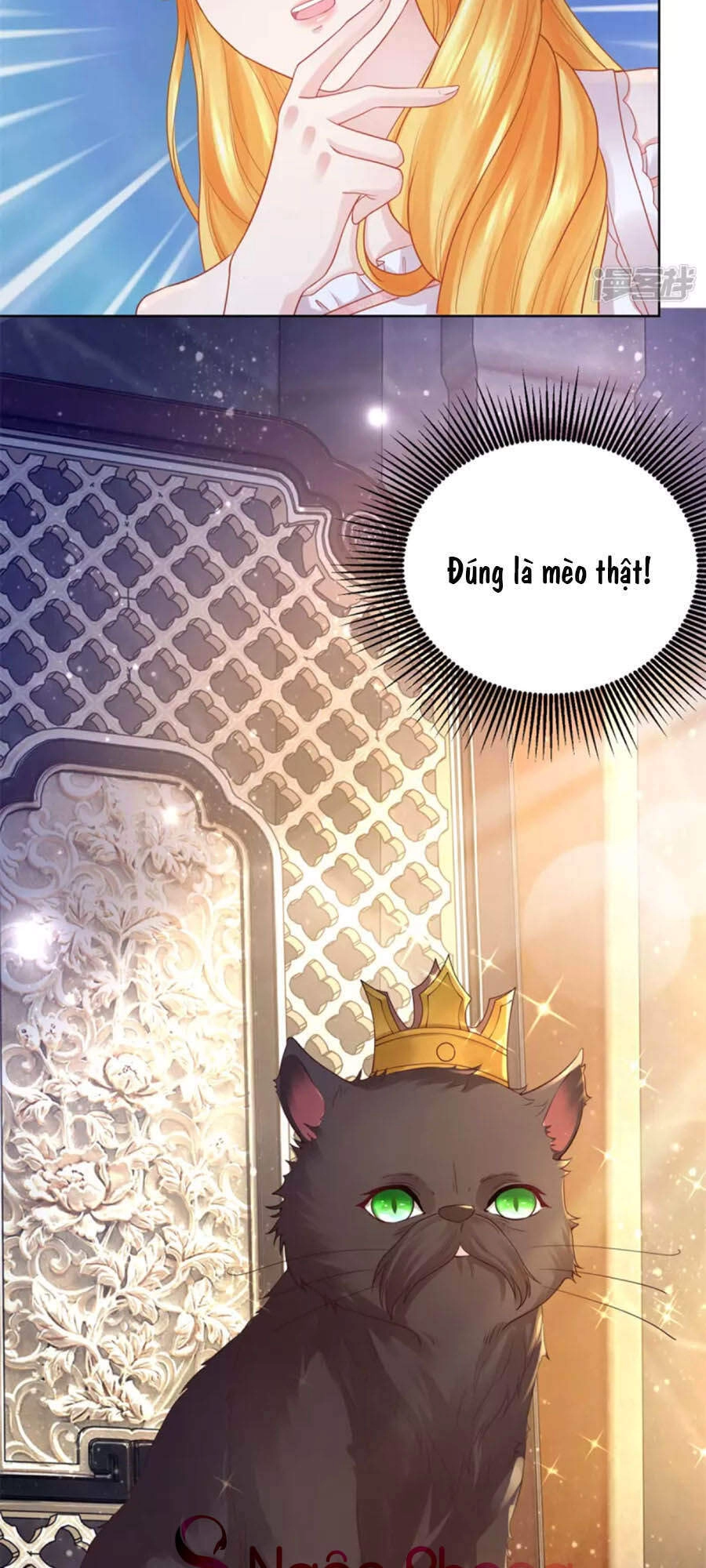 Tôi Muốn Trở Thành Tiểu Thư Công Tước Phế Vật Chapter 129 - 8