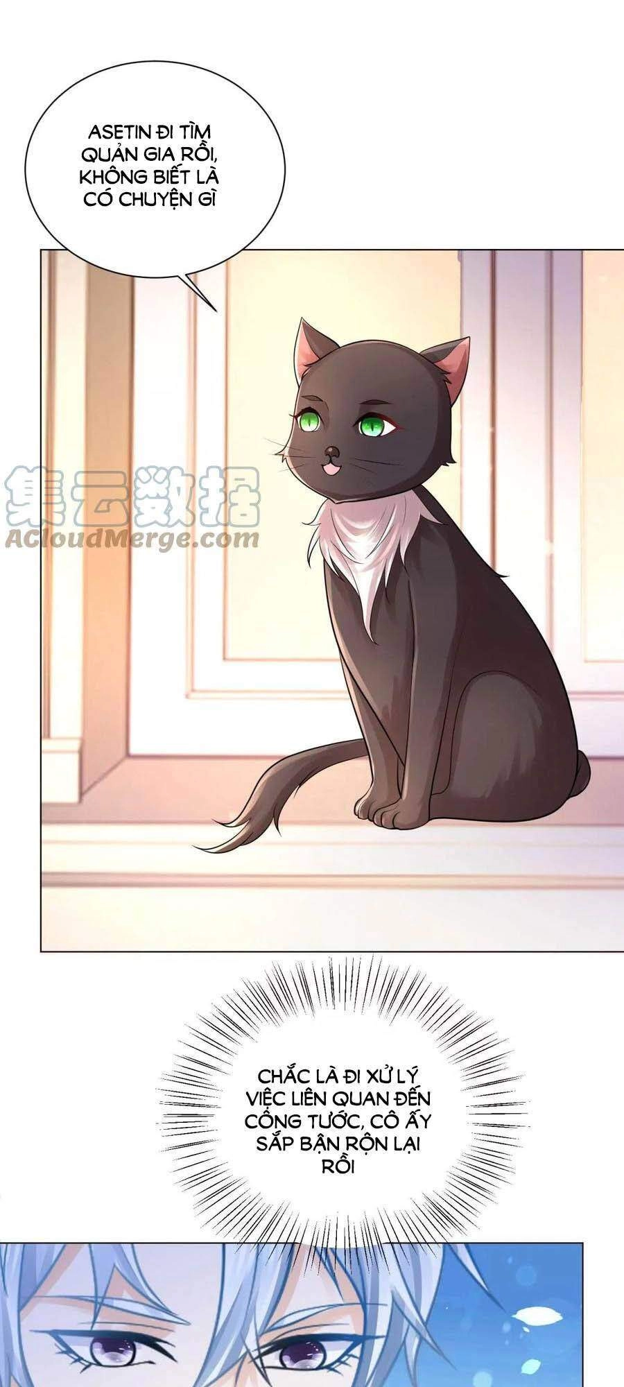 Tôi Muốn Trở Thành Tiểu Thư Công Tước Phế Vật Chapter 165 - 17