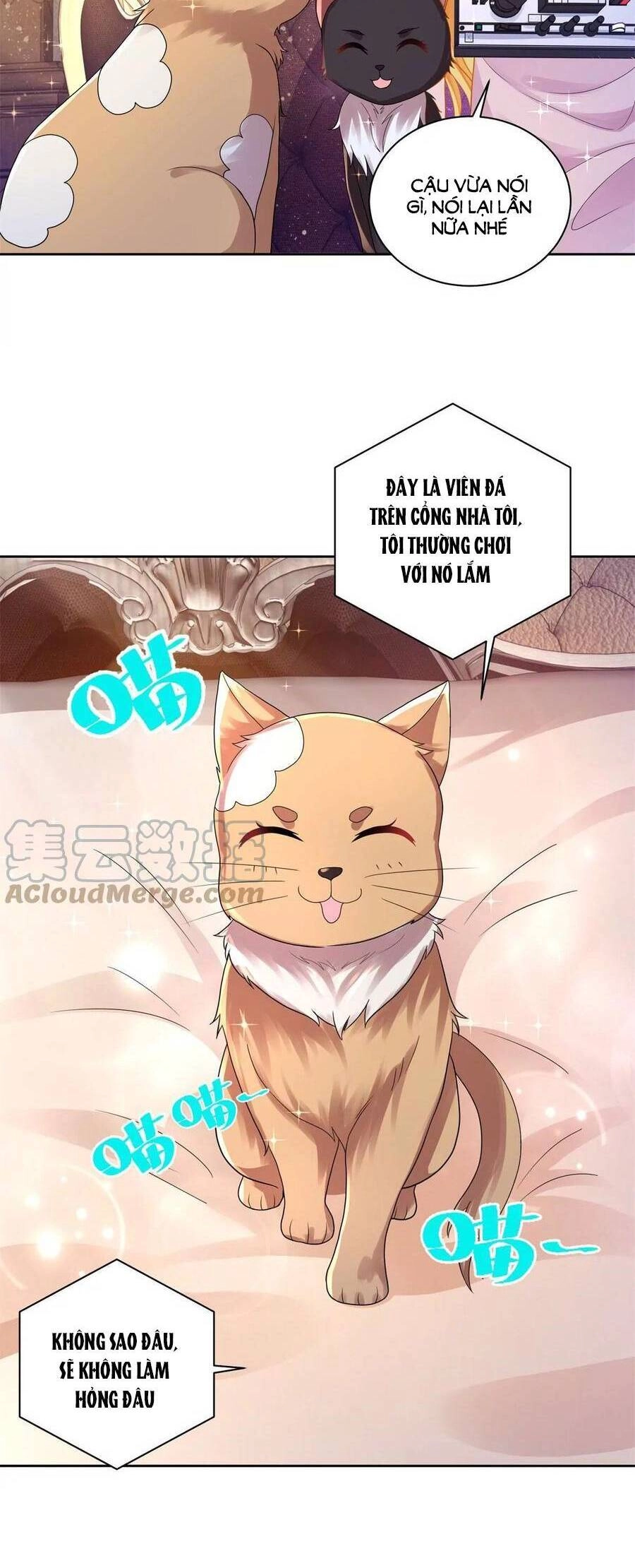 Tôi Muốn Trở Thành Tiểu Thư Công Tước Phế Vật Chapter 177 - 19