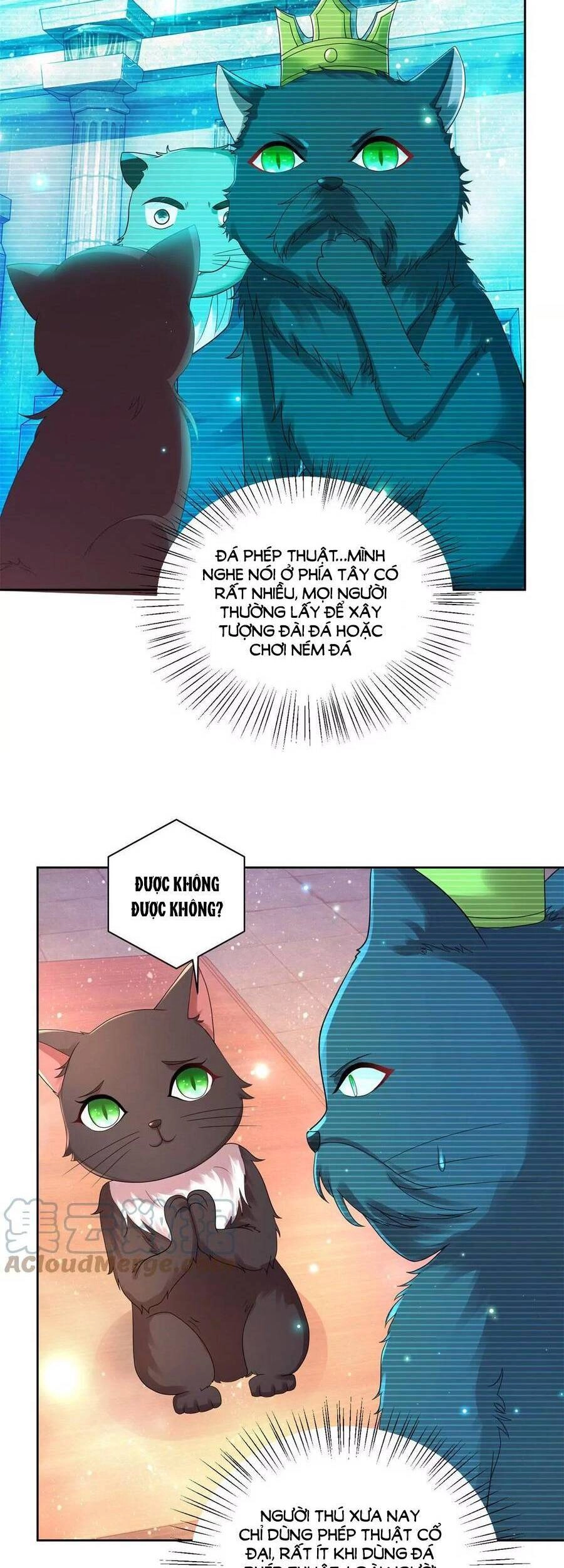 Tôi Muốn Trở Thành Tiểu Thư Công Tước Phế Vật Chapter 177 - 24