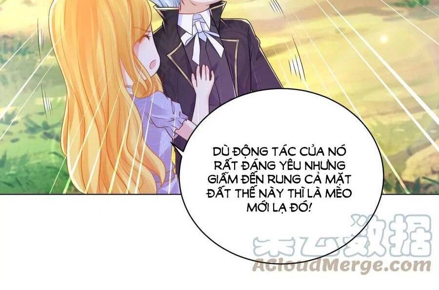 Tôi Muốn Trở Thành Tiểu Thư Công Tước Phế Vật Chapter 181 - 23