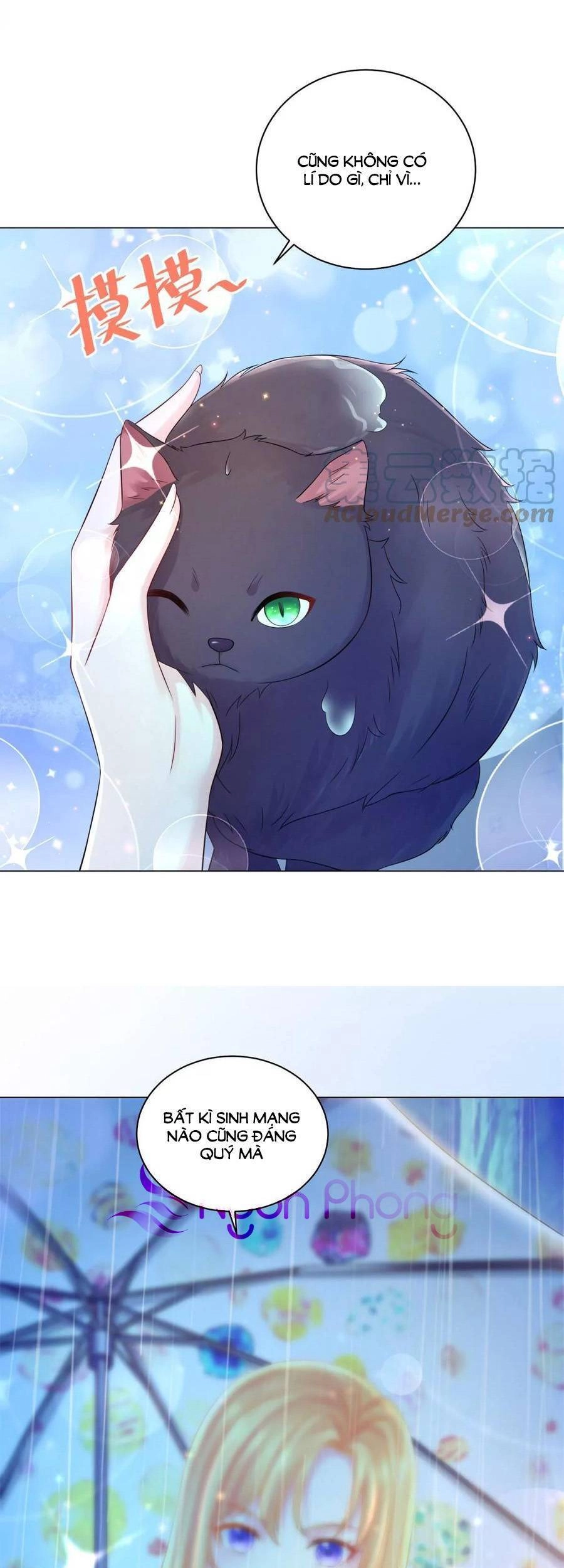 Tôi Muốn Trở Thành Tiểu Thư Công Tước Phế Vật Chapter 184 - 26