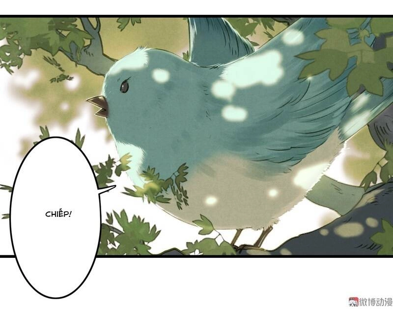 Thiếu Nữ Tản Mộng Đàm Chapter 33 - 11