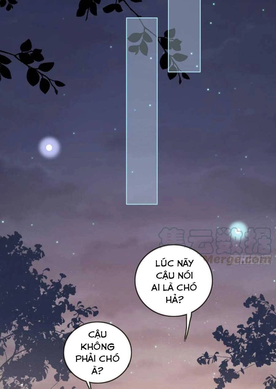 Ảnh Hậu Cũng Không Bằng Niệm Thanh Hoa Chapter 81 - 20