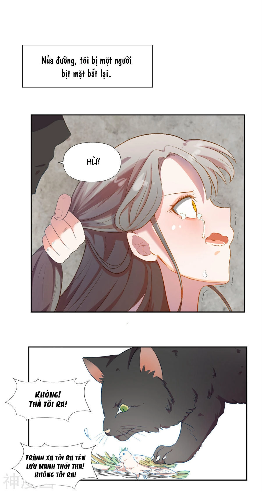 Hôn Nhân Dục Vọng: Thiếu Gia Nhẹ Một Chút! Chapter 2 - 5