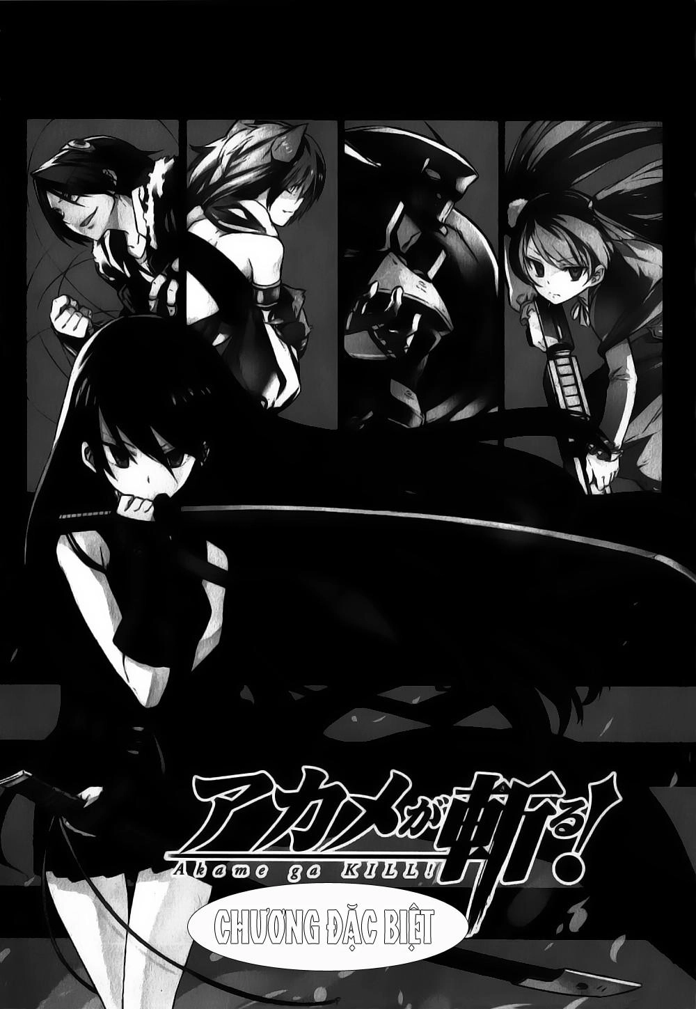 Akame Ga Kiru Chapter 27.5 - 6