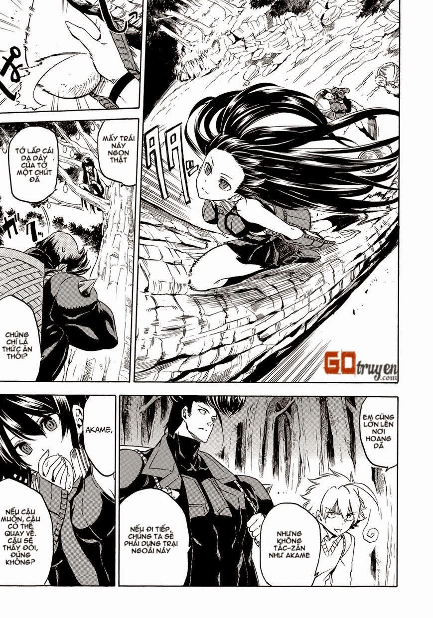 Akame Ga Kiru Chapter 53.6 - 4