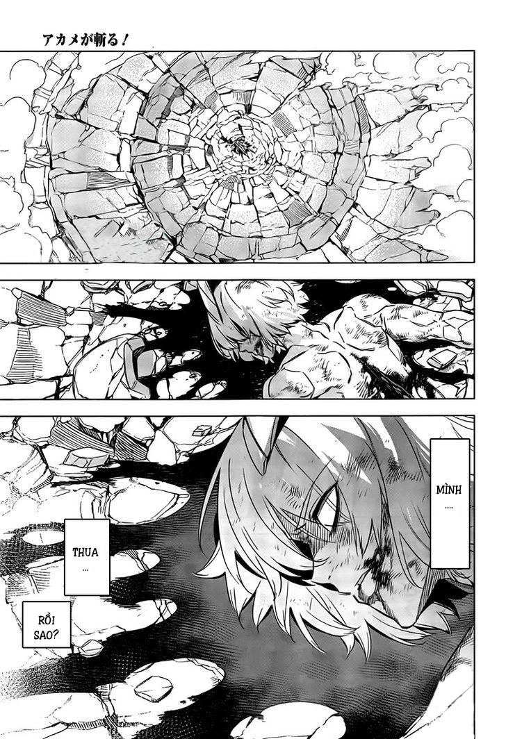 Akame Ga Kiru Chapter 73 - 14