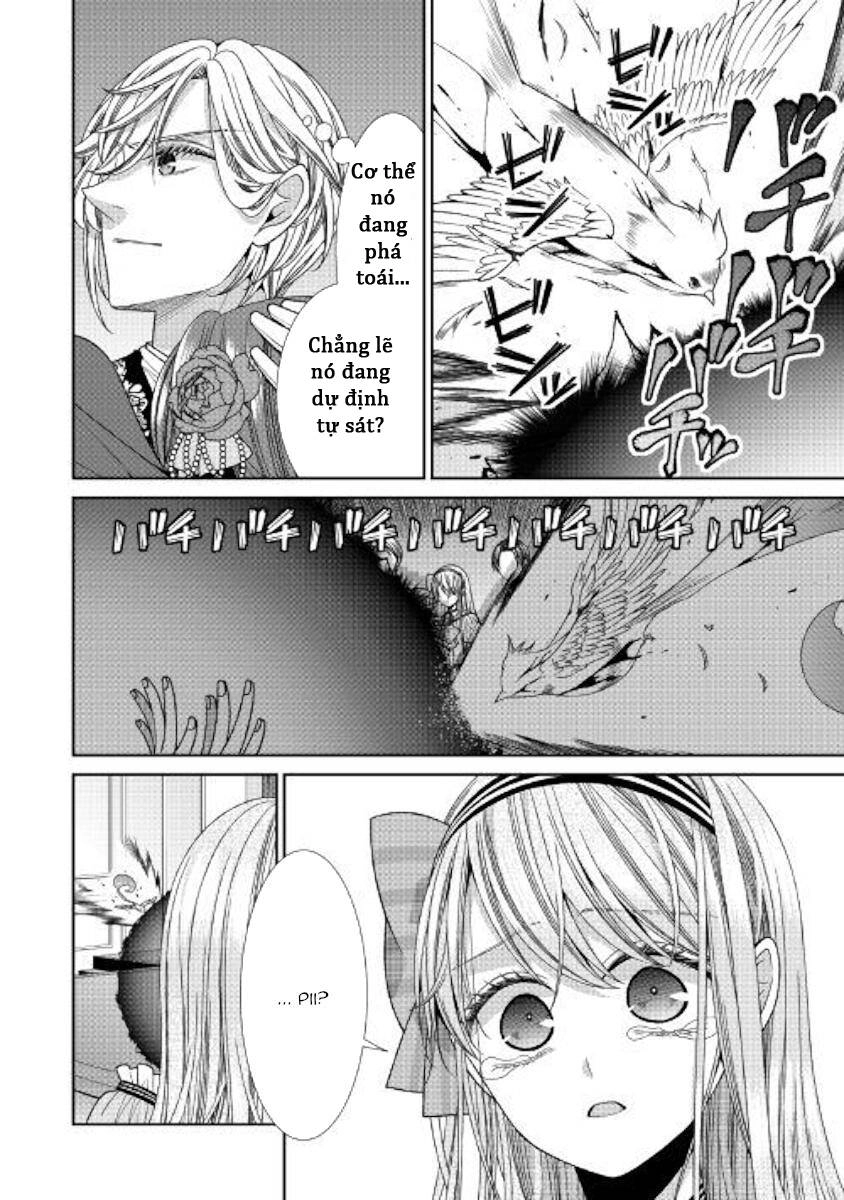 Nhật Kí Theo Dõi Vị Hôn Thê Tự Nhận Mình Là Nữ Phụ Phản Diện Chapter 20 - 16