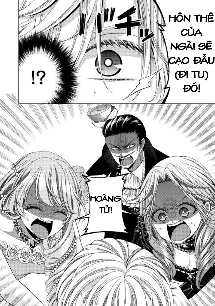 Nhật Kí Theo Dõi Vị Hôn Thê Tự Nhận Mình Là Nữ Phụ Phản Diện Chapter 23 - 35