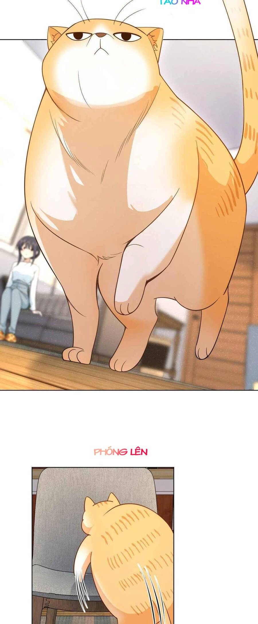 Bà Xã Nhà Tôi Đến Từ Ngàn Năm Trước Chapter 112 - 12