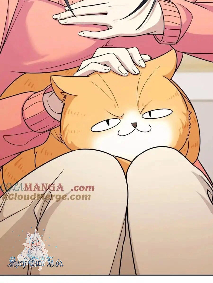 Bà Xã Nhà Tôi Đến Từ Ngàn Năm Trước Chapter 248 - 21